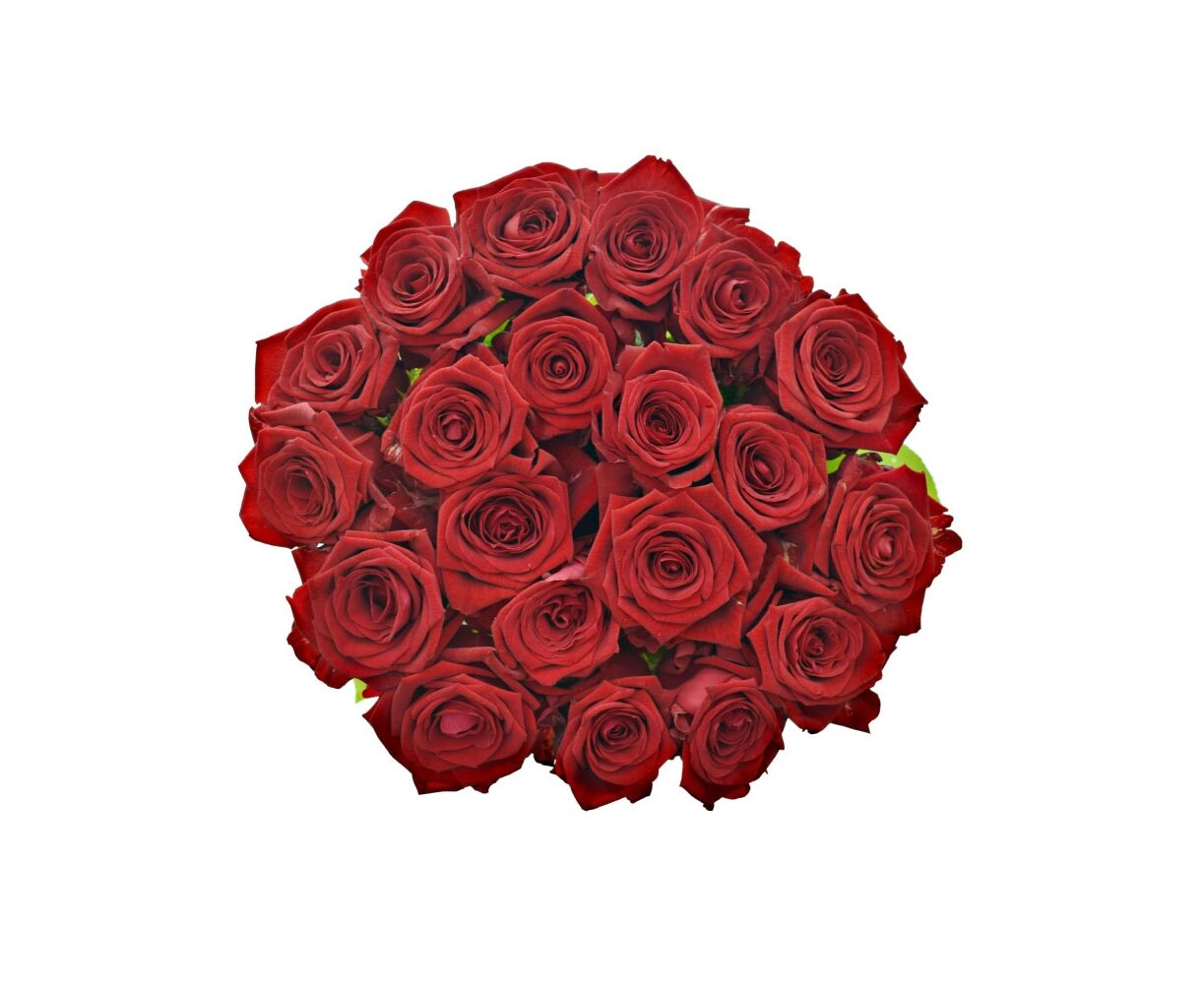 Картинка Роза Ред Наоми