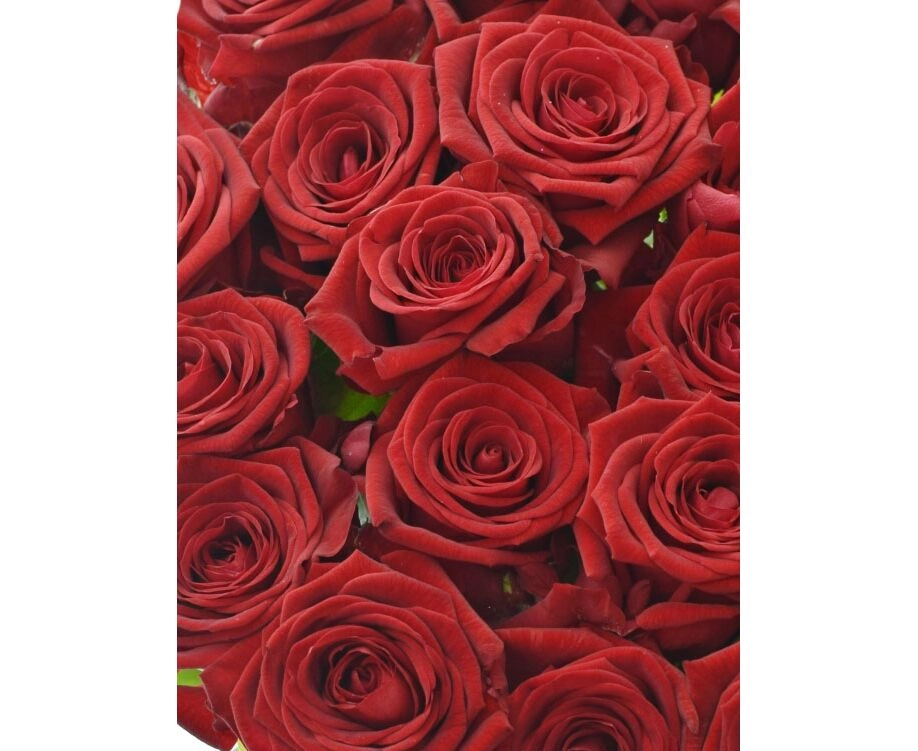 Картинка Роза Ред Наоми