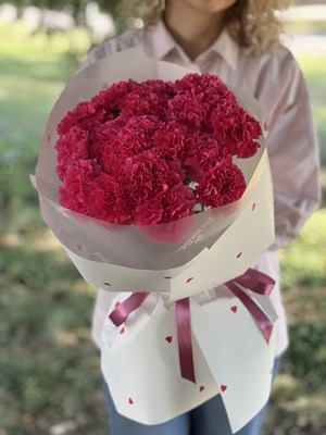 Картинка Букет из 25 гвоздик "Малина"