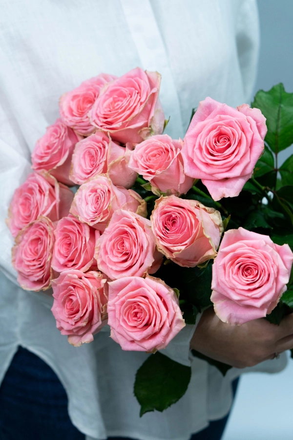 Картинка Букет из 15 роз Софи Лорен 40 см