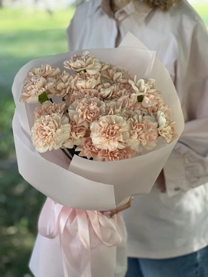 Картинка Букет из 27 гвоздик "Фантазия"