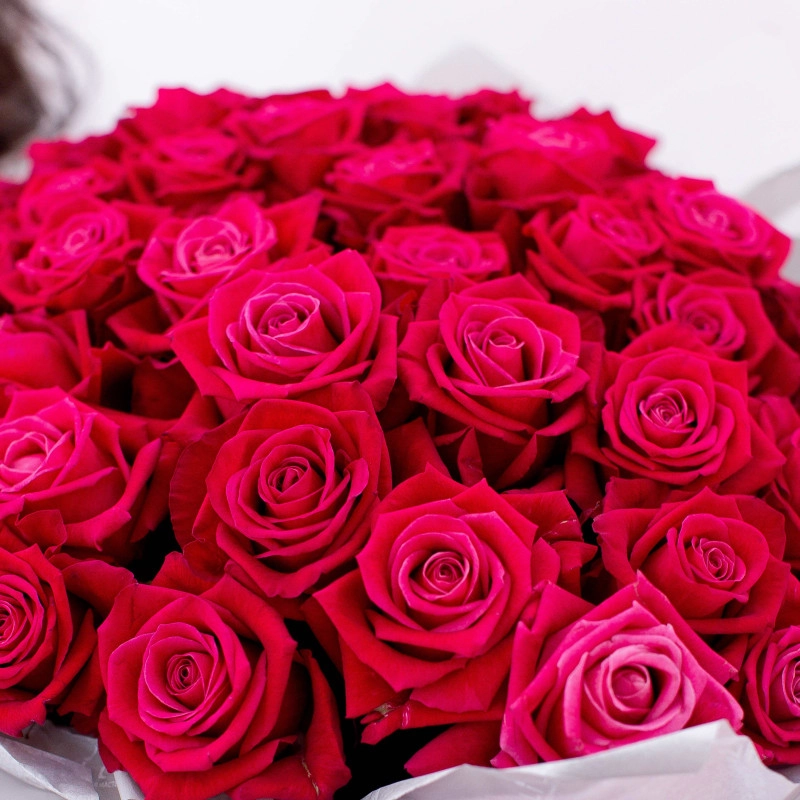 Картинка Букет из 51 розы сорта Шангрила 40 см