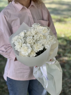 Картинка Букет из 23 гвоздик "Соната"