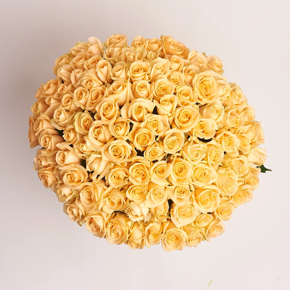 Картинка Букет из 101 розы сорта  Пич Аваланж 40 см