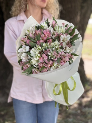 Картинка Букет из 23 альстромерий "Лазурь"