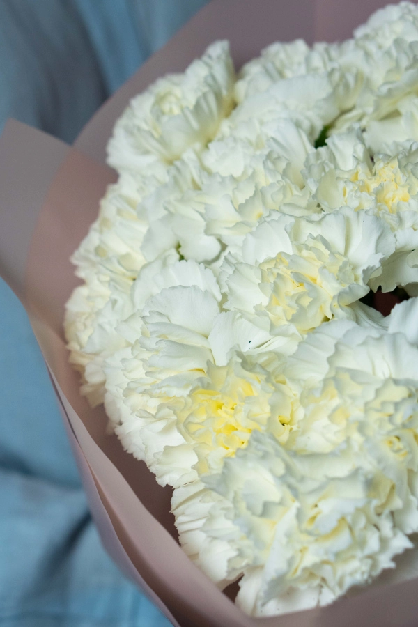 Картинка Букет из 25 гвоздик "Классик"