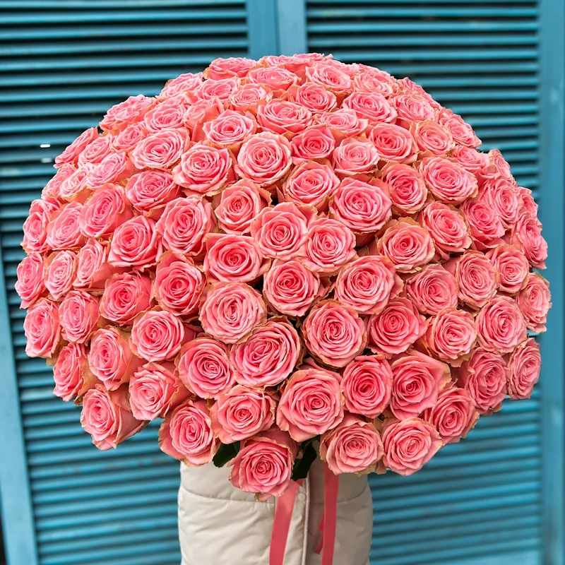 Картинка Букет из 101 розы "Влюблённый" 40 см