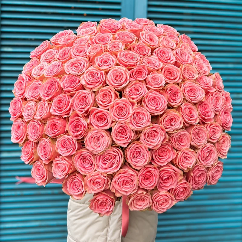 Картинка Букет из 101 розы "Влюблённый" 60 см